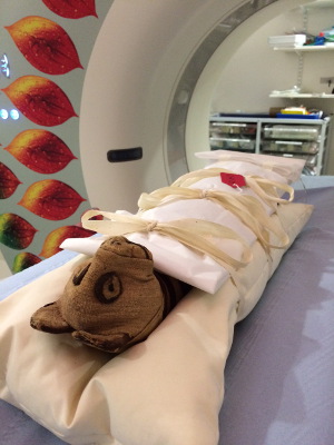 Bandaged cat mummy inside a CT Scanner at a hospital