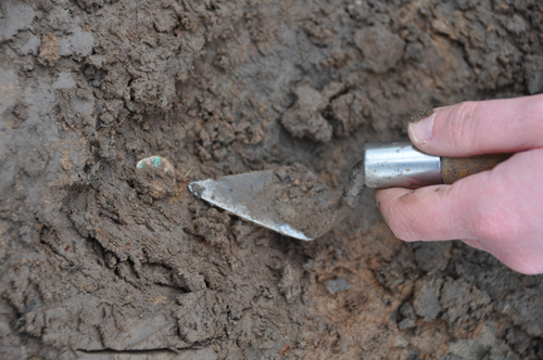hand with a small trowel pointing at a partly buried coin