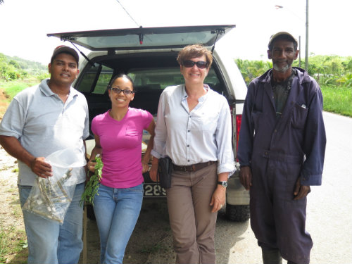 A hot, tiring day - but weâ€™re still smilinâ€™: (from left to right) Jameel (holding a bag-full of strontium samples), Keisha, Joanna and Nayo.