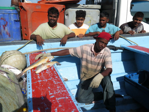 Selling fresh fish direct from the boat at Morne Diablo