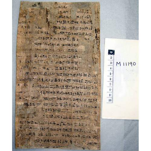 Egyptian papyrus from our collection