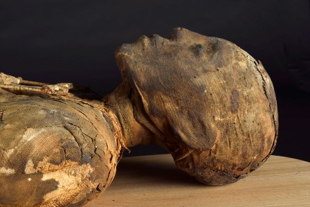 Image of a mummy from World Museum's collection