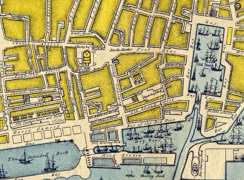 A section of the Eyes Map of Liverpool 1765.