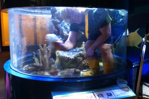 Cleaning one of the tanks