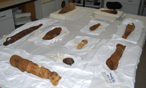 several small animal-shaped mummies on a table
