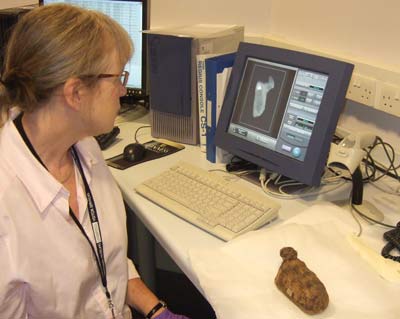 a woman in a lab coat looks at a screen showing an xray of the brown object on the desk in front of her