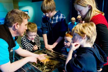 Children being shown a starfish in the aquarium