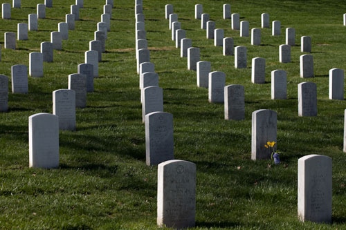 rows of headstones in Arlington National Cemetery