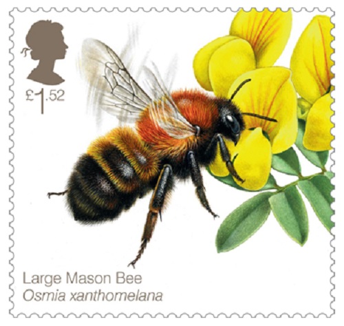 Royal Mail Large Mason Bee stamp