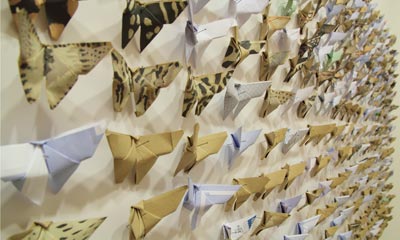 Rows of paper butterflies