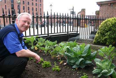 man in vegetable garden in Albert Dock
