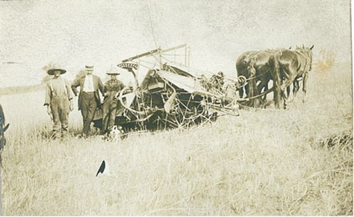 people standing by horses pulling farming machinery
