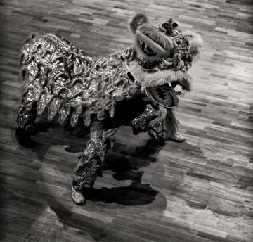 Black and white photograph of a Chinese dragon dancing on a wooden floor