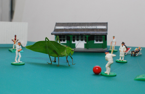 A cricket insect surrounded by little human cricket figures