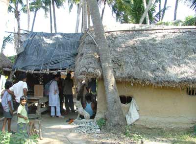 low built, mud house with a straw roof, palm trees and a young boy looking at the camera