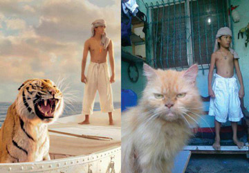 photo of a boy and cat inthe pose of the Life of Pi film poster