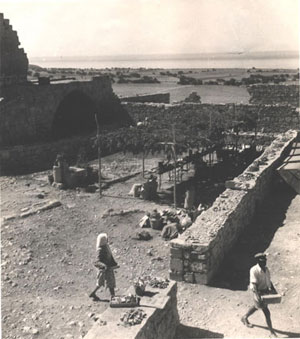 The excavation at Kouklia in progress