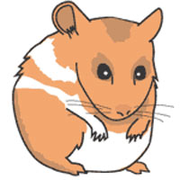 illustration of a hamster