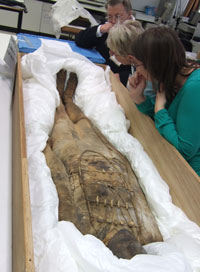 people looking at an Egyptian mummy 