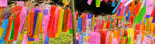 Colourful paper strips with wishes on them - part of the Tanabatta festival 