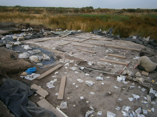 excavated site with labels and markers on the ground