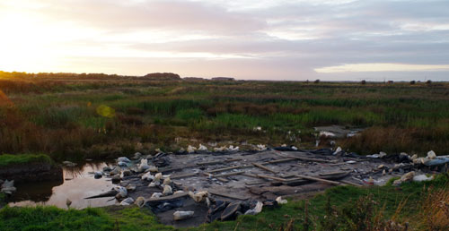 view of archaeological excavations at Lunt Meadows