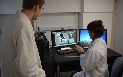 researchers studying a coin on a computer screen