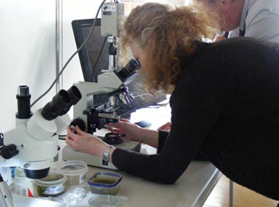 Woman looking through a microscope
