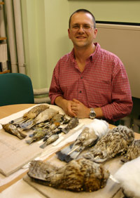 man sat at table behind several bird specimens