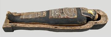 A mummy in a coffin