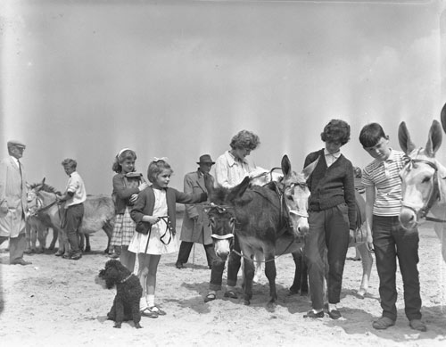 old photograph of families taking donkey rides on New Brighton beach
