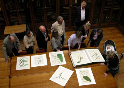 Photo looking down on people gathered around of table on whicha re large drawings of plants. A baby sleeps in a pram nearby.