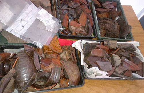 Several trays with fragments of old pottery items