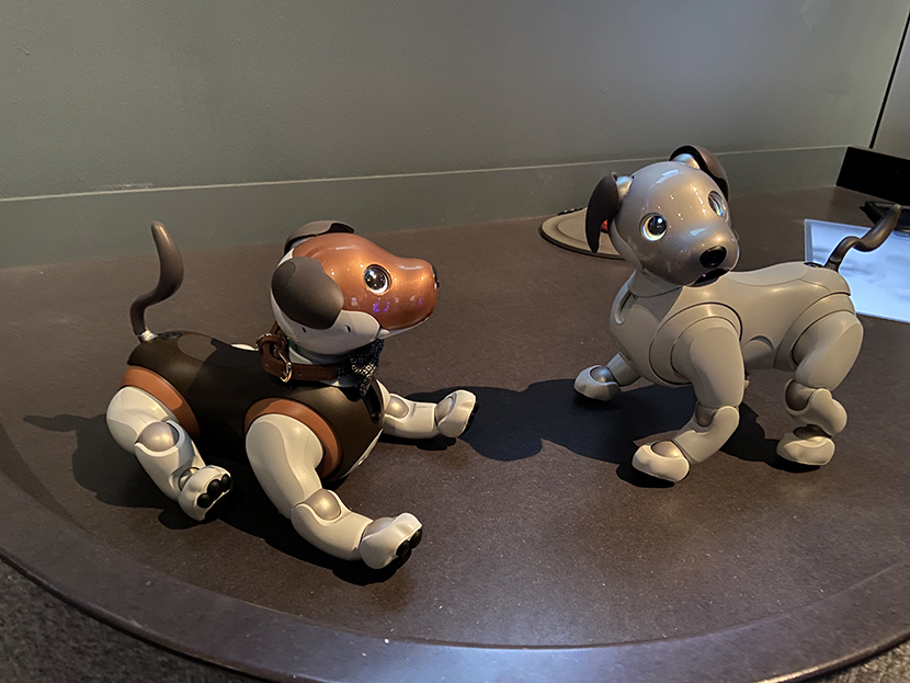 Laika and aibo in world museum