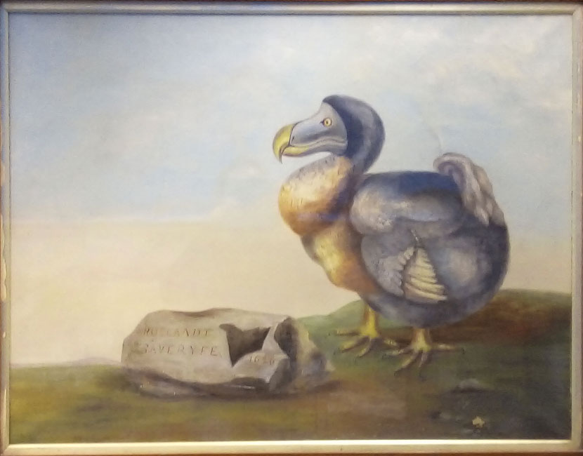 Oil painting of a dodo