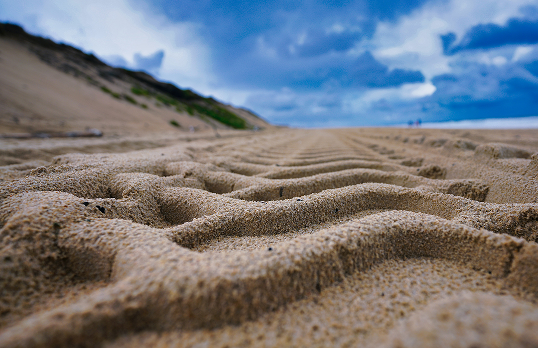 Tracks in sand on beach with blue sky, showing perspective