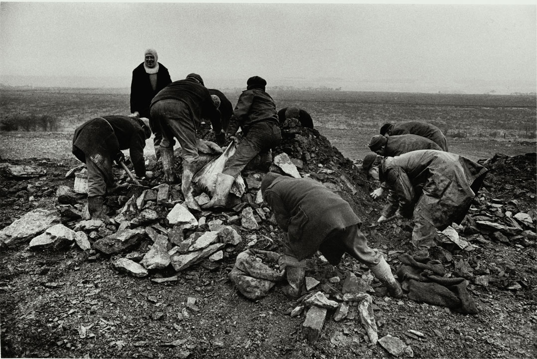 men rummaging on a pile of coal